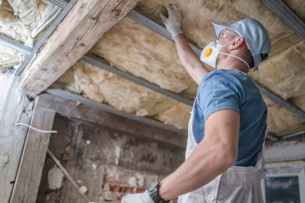 Best Insulation Maintenance and Repair in Gleason, TN